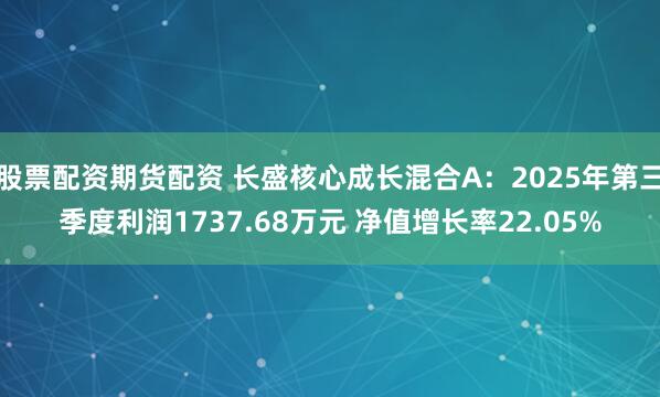 股票配资期货配资 长盛核心成长混合A：2025年第三季度利润1737.68万元 净值增长率22.05%