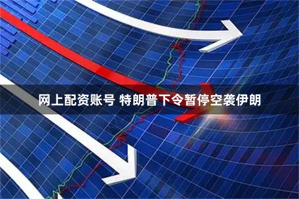 网上配资账号 特朗普下令暂停空袭伊朗